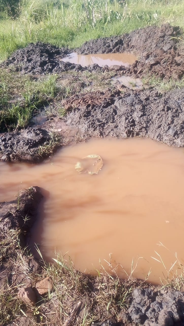 WhatsApp Image 2025-10-07 at 14.38.30_3b0e4184