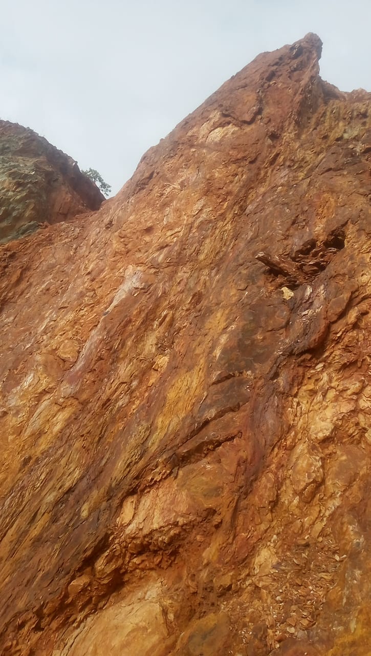 WhatsApp Image 2025-10-07 at 14.38.30_95056f83